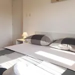 Apartment Nina Zadar