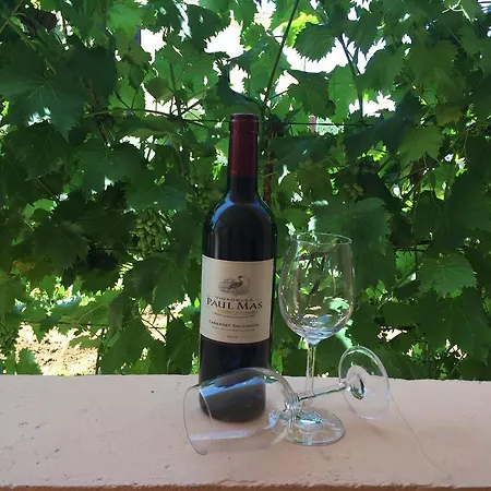 Lägenhet Nina Zadar