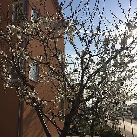 Nina Lägenhet Zadar